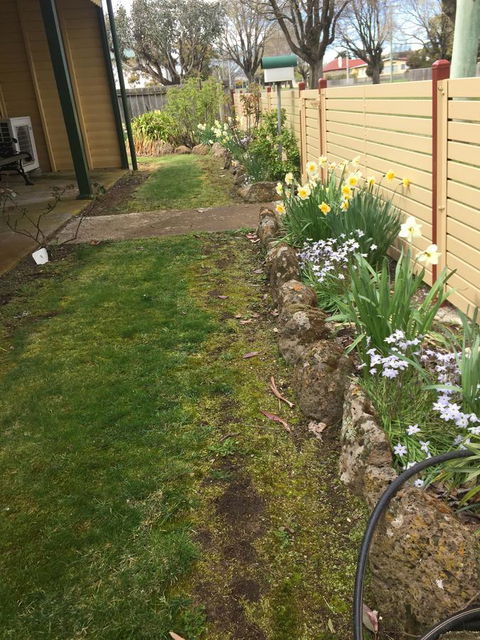 Our Cottage - Tourism TAS 1