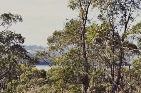 Oyster Cove Chalet - Hobart Tourism 17