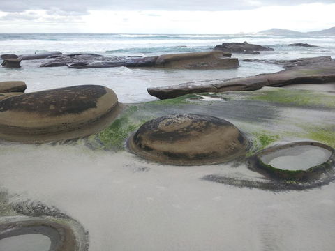 Suntrap Cove Bicheno - Hobart Tourism 6