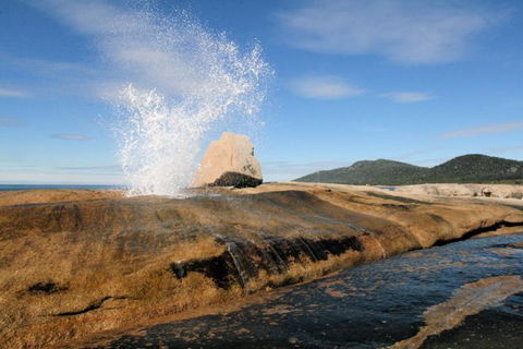 Suntrap Cove Bicheno - Hobart Tourism 30