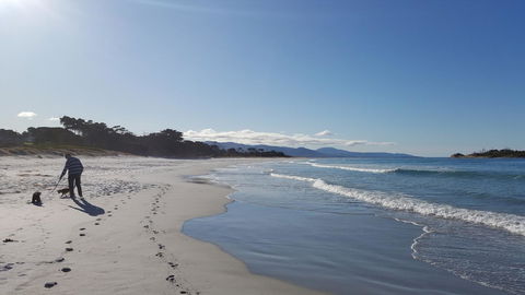 Suntrap Cove Bicheno - Hobart Tourism 5