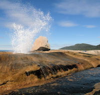 Suntrap Cove Bicheno - Tourism TAS