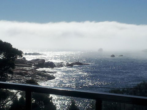 Suntrap Cove Bicheno - Hobart Tourism 7