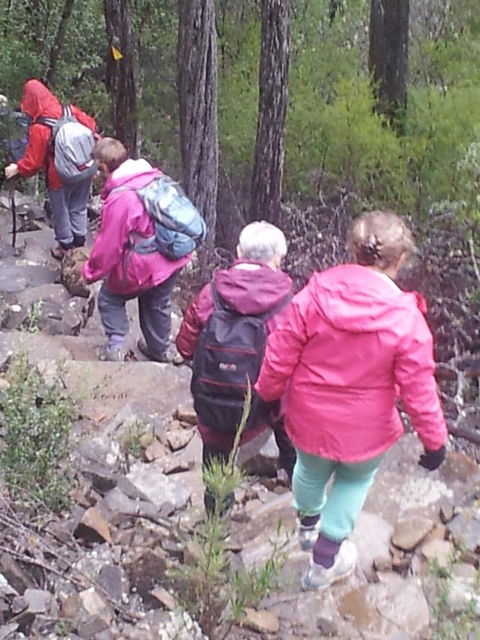 Suntrap Cove Bicheno - Hobart Tourism 2