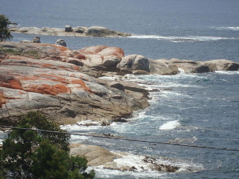 Suntrap Cove Bicheno - Hobart Tourism 28