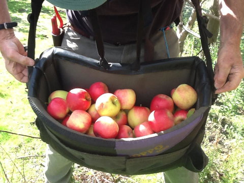 Eureka Farm - Tourism TAS 24
