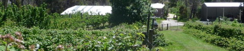 Eureka Farm - Tourism TAS 25