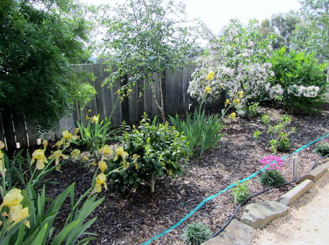 Elm Trees Accommodation @ Ross - Tourism TAS 6