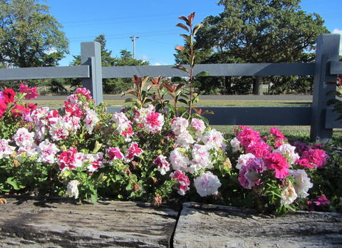 Elm Trees Accommodation @ Ross - Tourism TAS 25