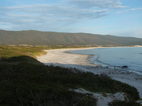 Seymour Waves - Tourism TAS 20