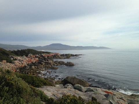 Seymour Waves - Tourism TAS 12