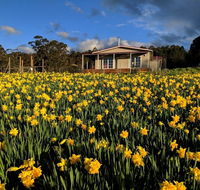 Mountain Blue Guest House - Hobart Tourism