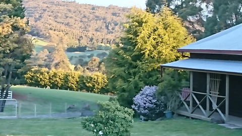Glengarry Farm Stay BnB - Hobart Tourism 7