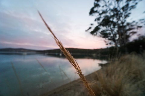 Free Spirit Pods - Hobart Tourism 8
