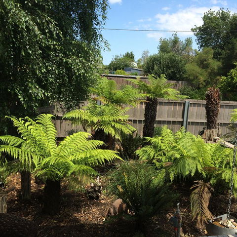 Pinestumps Holiday Home - Tourism TAS 14