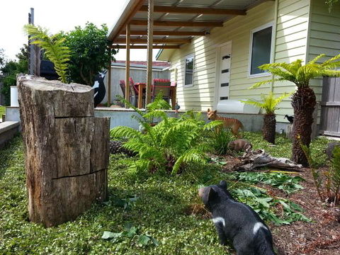 Pinestumps Holiday Home - Tourism TAS 12