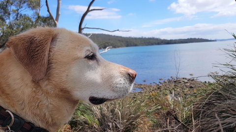 Four Seasons Waterfront Villas - Tourism TAS 35