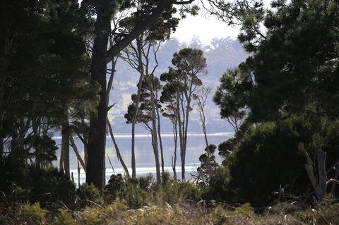 Riverwalk B&B - Hobart Tourism 20