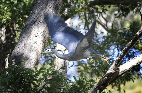 Riverwalk B&B - Hobart Tourism 15