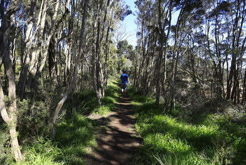 Riverwalk B&B - Hobart Tourism 31
