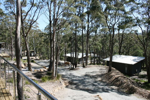 Craggy Peaks Wilderness Cabins - Tourism TAS 22
