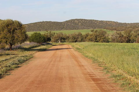 Northbrook Farmstay - Hobart Tourism 2