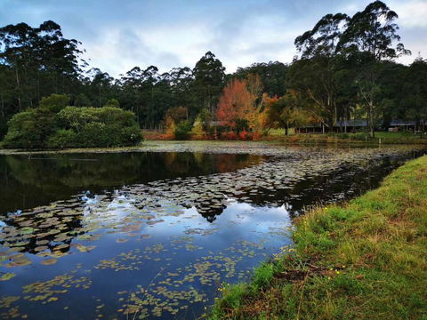 OCT Forest Lodge - Hobart Tourism 2