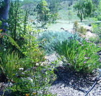Old Miners' Cottages Bed and Breakfast - Tourism TAS