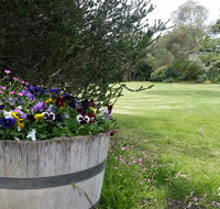 Padthaway Caravan Park - Hobart Tourism