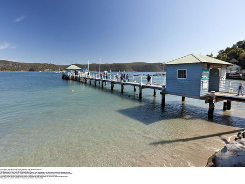 Palm Cove Palm Beach - Tourism TAS 1