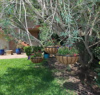 Paradise Apartment - Hobart Tourism