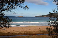 Pebbly Beach Shacks