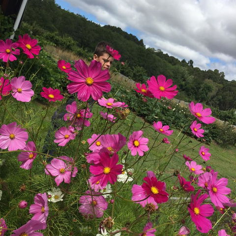 Pennyroyal Otways Retreat - Hobart Tourism 3
