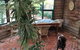 Peppercorns B&B - thumb 0
