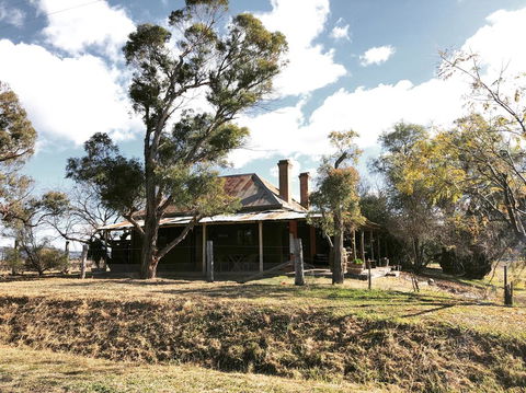 Pieter Van Gent Winery & Vineyard - Tourism TAS 3