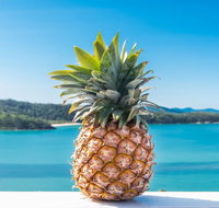 Pineapple House Whitsundays - Tourism TAS