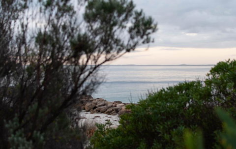 Polperro, A Quintessential Seaside Experience - Tourism TAS 1