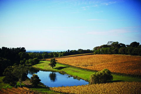 Port Phillip Estate - Tourism TAS 2