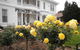 Princes Lodge Motel - thumb 1