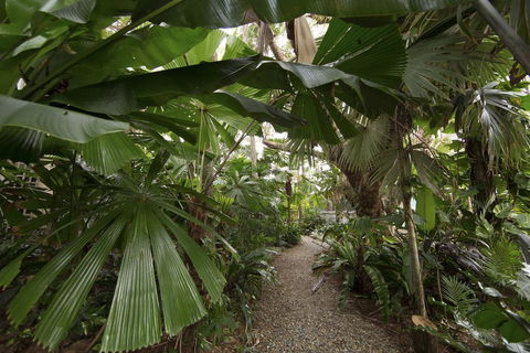 Rainforest Castaways Resort And Spa - Tourism TAS 1