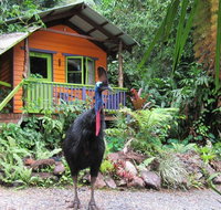 Rainforest Hideaway - Tourism TAS