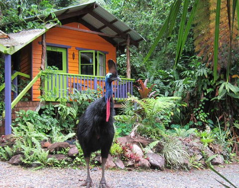 Rainforest Hideaway - Tourism TAS 0
