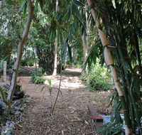 Rainforest Water Front River Shack Secluded. - Hobart Tourism
