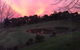 Raynella Alpaca Farmstay - thumb 1