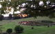 Raynella Alpaca Farmstay - thumb 2