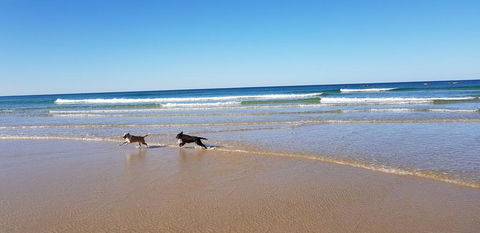 Red Door Beach House - Marcoola Beach - PET FRIENDLY, FOXTEL, WIFI, 500 BOND, Linen Supplied - Tourism TAS 1