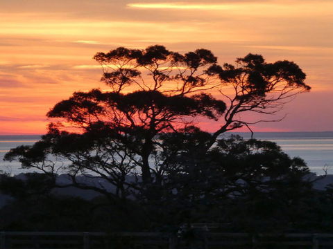 Red Hill Ridge - Hobart Tourism 1