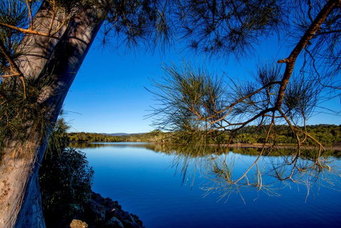 Reflections Holiday Parks Ferry Reserve - Tourism TAS 3