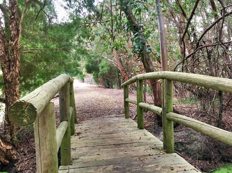 Ruby Rose - Hobart Tourism 2