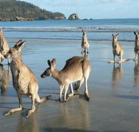 Seaforth Holiday Units - Hobart Tourism